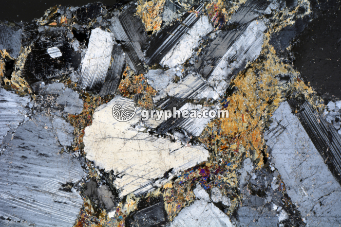 Métagabbro à Hornblende LPA x3,5 - gryphea.com